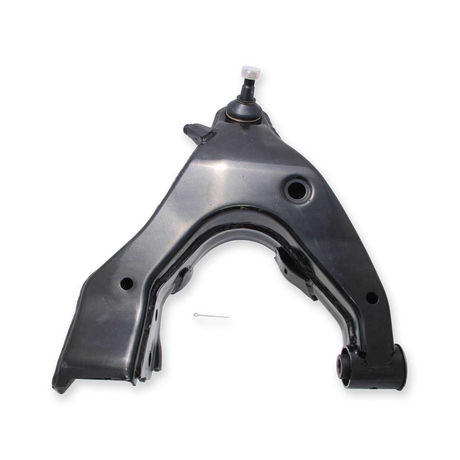 Front Lower Right Arm