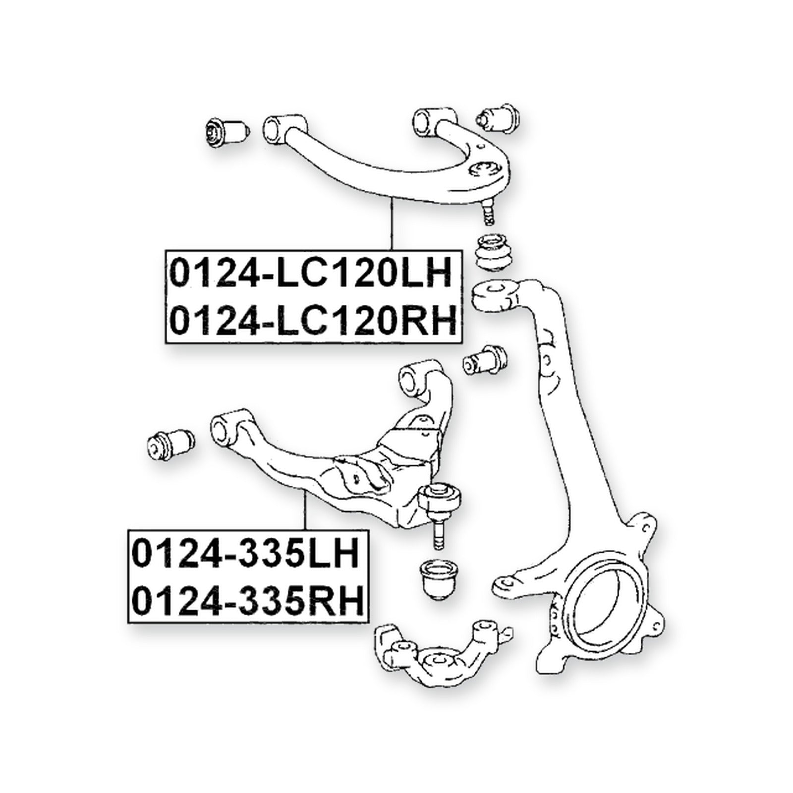 Front Lower Left Arm