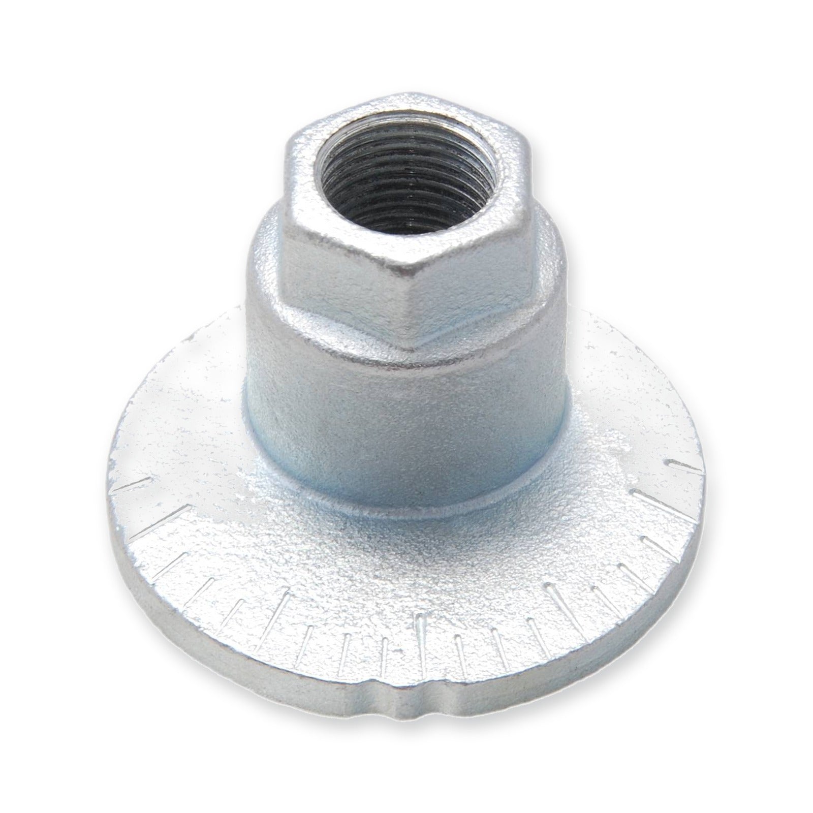 Lower Plate