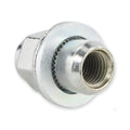 Wheel Nut