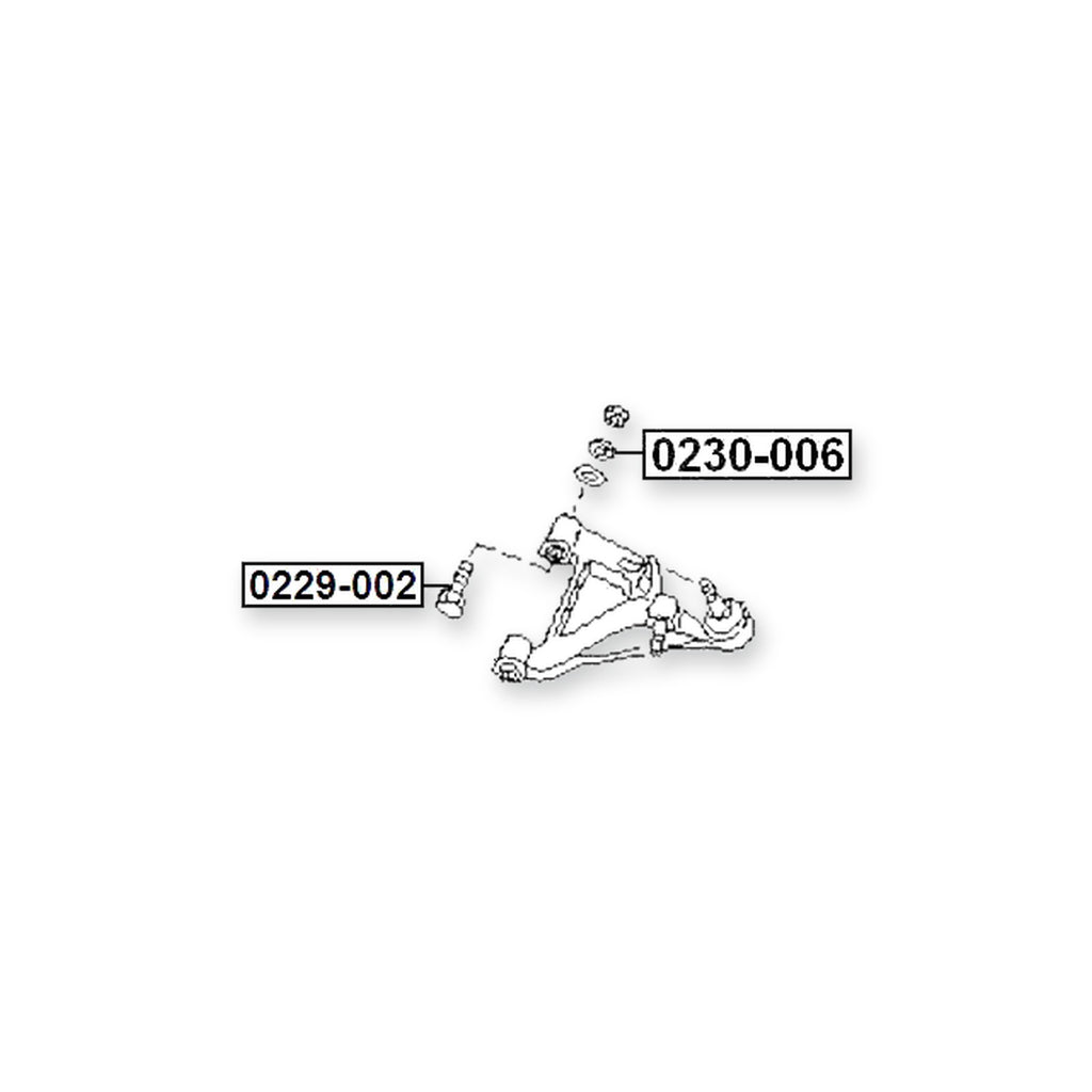 Infiniti G20 P10 P11 & More Cam
