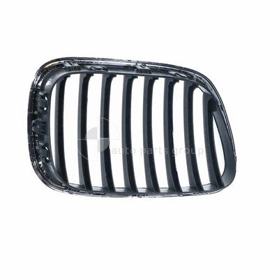 BMW X5 E53 Grille LH (11/00-03/07)