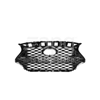 Genuine Hyundai Veloster JS Grille (07/19-On)