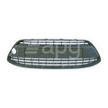 Ford Fiesta WS Front Bar Grille (01/09-02/12)