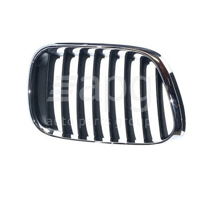 BMW X5 E53 Grille RH (11/00-03/07)