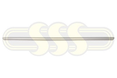 Toyota Camry Bar Mould Centre Lower Lower SX/SL, Silver Color (11/17-02/21)