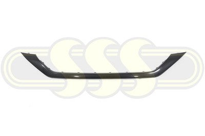 Genuine BYD Atto3 Bar Mould Front LOWER (06/22-)