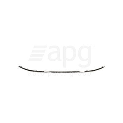 Genuine Volkswagen Tiguan 5N Front Bar Mould (03/21-05/25)