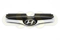 Genuine Hyundai Veloster Grille (10/11-05/17)