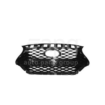 Genuine Hyundai Veloster JS Grille (07/19-On)
