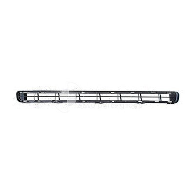Toyota Rav4 Front Bar Grille (11/05-08/08)
