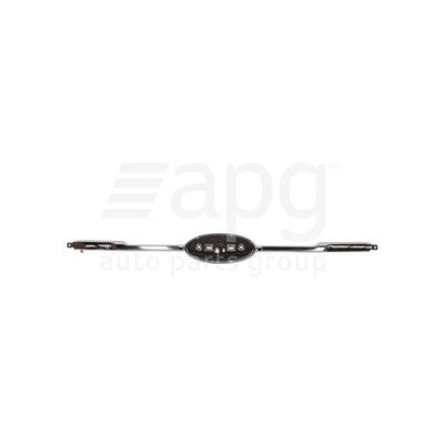 Genuine Ford Everest UAII Grille Mould (07/18-11/19)