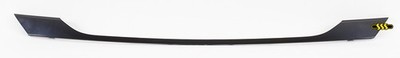 Genuine Hyundai Santa Fe Wagon Grille Mould Centre Black (06/12-05/15)