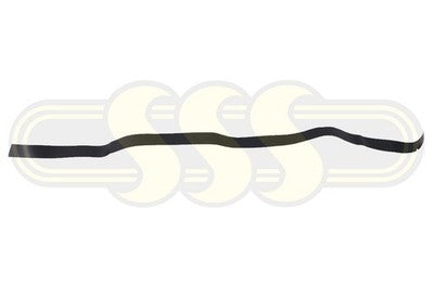 Genuine Hyundai Elantra Door Tape (Garnish) RH Rear Horizontal (09/18-On)
