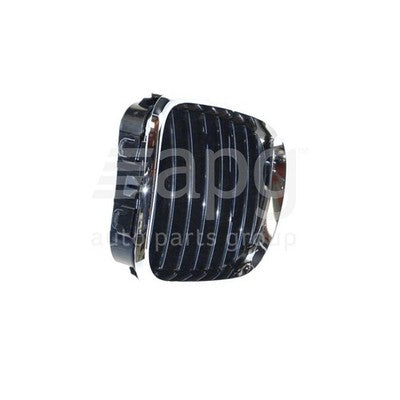 BMW X5 E53 Grille LH (11/00-03/07)