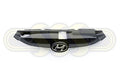 Genuine Hyundai Ix35 Grille Black Glossy (11/09-05/15)