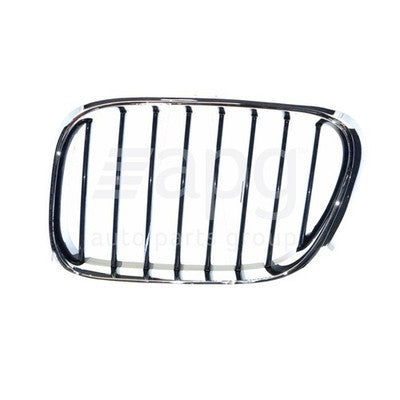 BMW X5 E53 Grille LH (11/00-03/07)