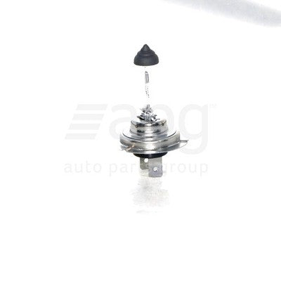 Audi A4 B6 Head Lamp RH Halogen Electric Adjust (07/01-02/05)