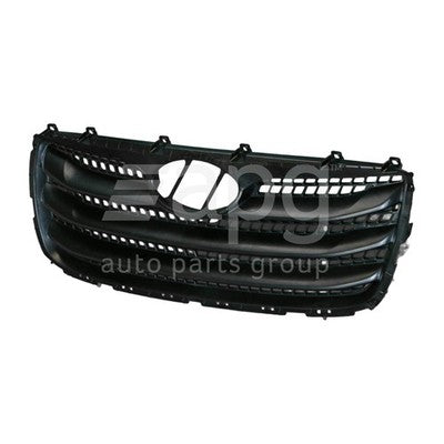 Genuine Hyundai Santa Fe CM Grille (09/09-07/12)