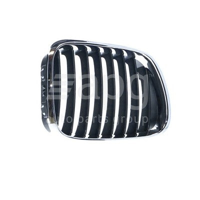 BMW X5 E53 Grille RH (11/00-03/07)