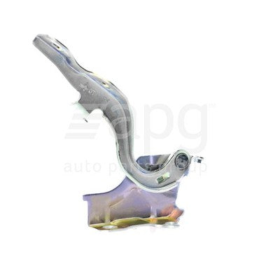 Genuine Hyundai iLoad TQ-V/TQ-W Bonnet Hinge RH (02/08-03/18)