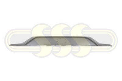 Genuine Toyota Rav4 Tailgate Garnish Upper Grey Grey Between (11/18-11/21)