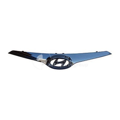 Genuine Hyundai i30 GD Grille Mould Black (05/12-12/14)
