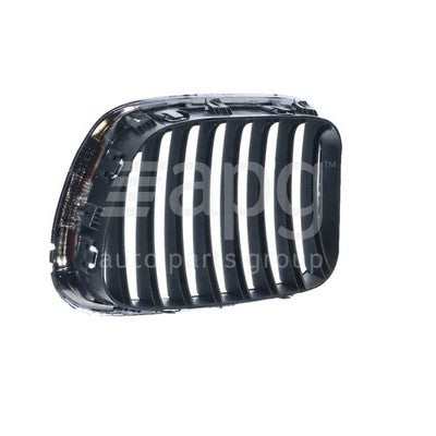 BMW X5 E53 Grille RH (11/00-03/07)