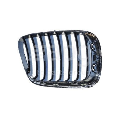 BMW X5 E53 Grille LH (11/00-03/07)