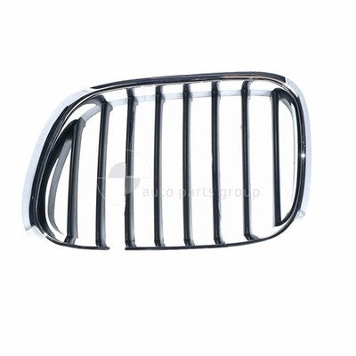 BMW X5 E53 Grille LH (11/00-03/07)