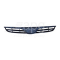 Genuine Hyundai i20 PB Grille (07/10-06/12)