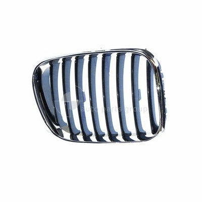 BMW X5 E53 Grille RH (11/00-03/07)