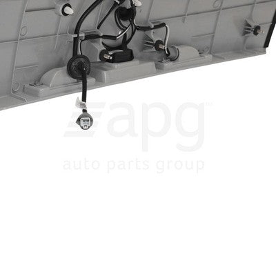 Genuine Holden Captiva CG/CG II Tail Gate Garnish (09/06-01/15)
