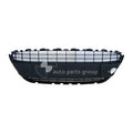 Ford Fiesta WS Front Bar Grille (01/09-07/13)