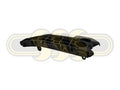 Genuine Toyota Tarago Bar Bracket Slide Left Hand Front (12/08-On)