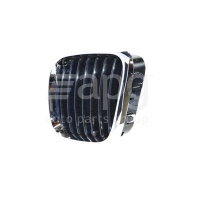 BMW X5 E53 Grille LH (11/00-03/07)