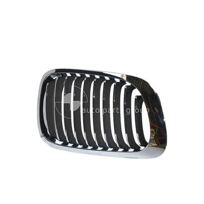 BMW 3 Series E46 Grille RH (08/98-02/07)