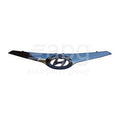Genuine Hyundai i30 GD Grille Mould Black (05/12-12/14)