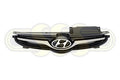 Genuine Hyundai Elantra Grille (10/13-11/15)
