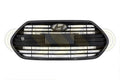 Genuine Hyundai Veloster Bar Grille Front (10/11-05/17)