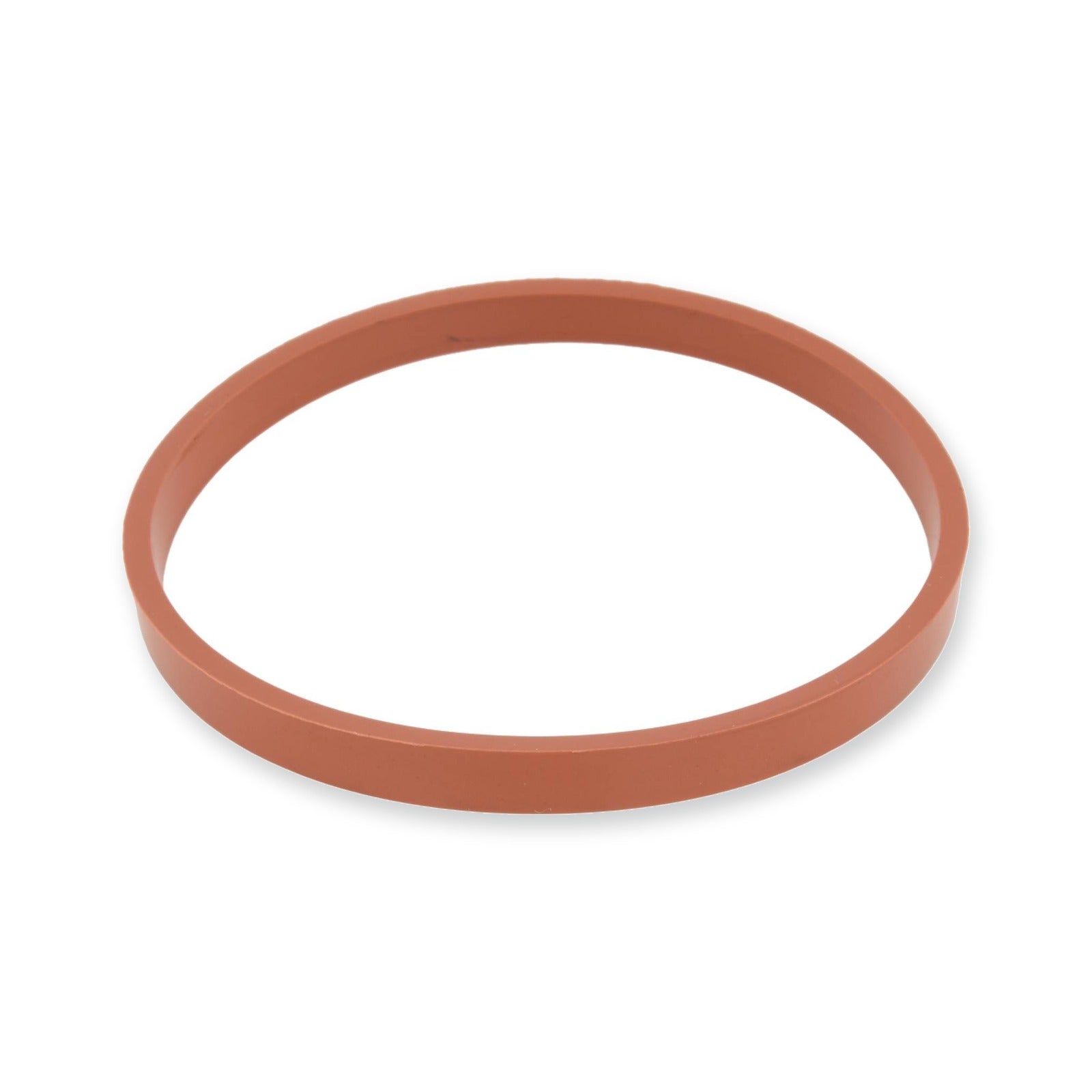 Volkswagen Beetle Throttle Body O-Ring & More