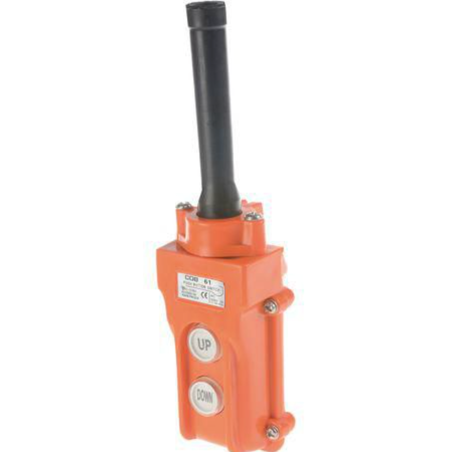 Truck Tailgate Switch Up & Down - 2 Position Pendant Switch