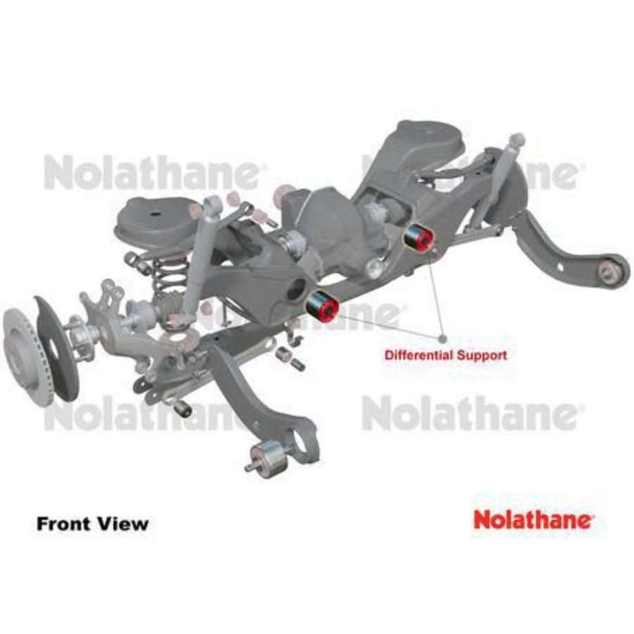 NOLATHANE Diff support bush Falcon BA BF FG Territory SX SY SZ - 49160A