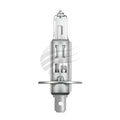 H1 Halogen Globe 12V 55W 14.5s Base Box Pack Osram