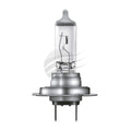H7 Halogen Globe 12V 55W PX26D Base Box Pack Osram
