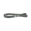 Ford Cougar Poly-V Belt 6 Ribs & More
