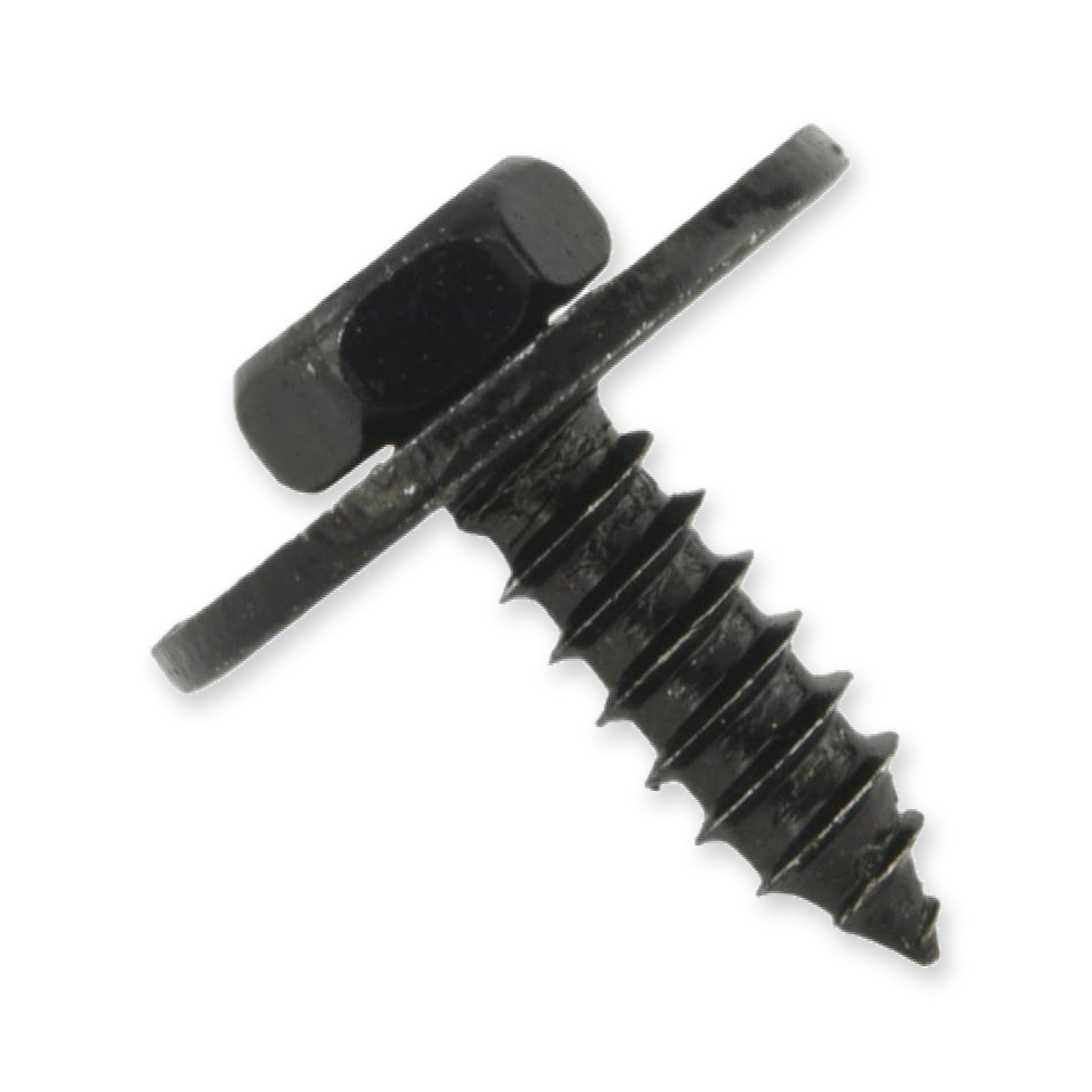 BMW 1 E81 Screw & More