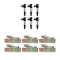 6x Genuine NGK Platinum Spark Plugs & 6x Ignition Coils for Holden Commodore VZ