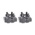 2 x Ignition Coil Pack for Land Rover Discovery II for RangeRover II 4.0L 4.6L