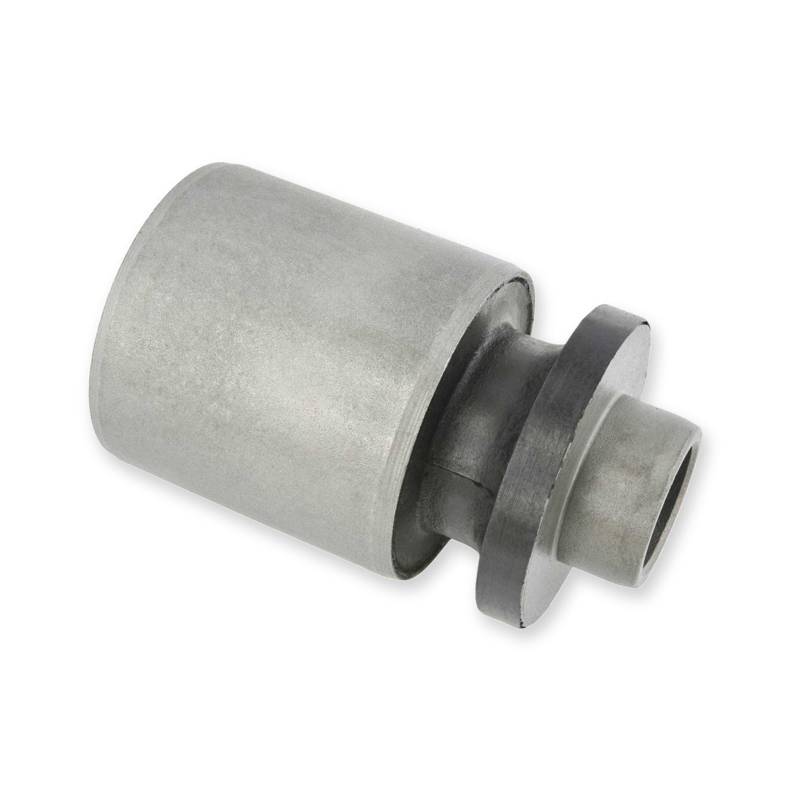 Audi A6 Rear Bushing, Shock Absorber